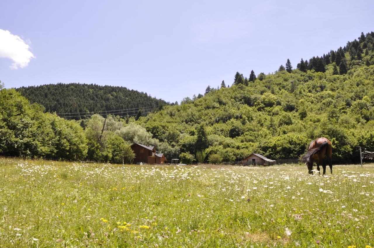 Farma Sotira Leskovik Exterior foto